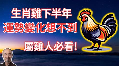 1993屬雞2024運勢|生肖雞: 性格，愛情，2024運勢，生肖1993，2005，2017